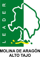 LOGO MOLINA OK
