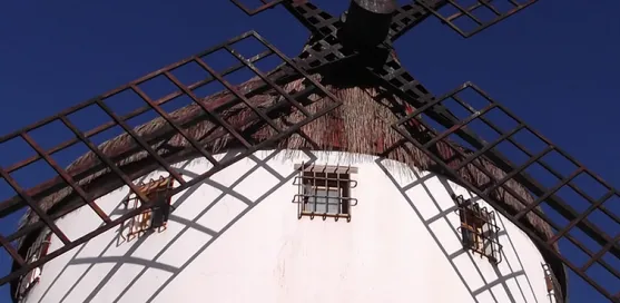 Molino TL
