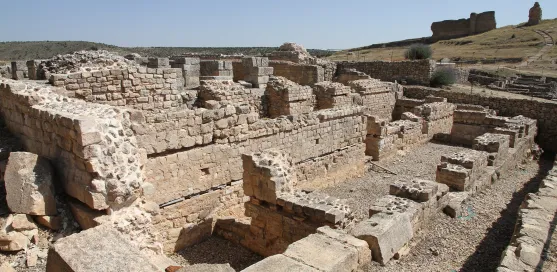 Yacimiento Adesiman